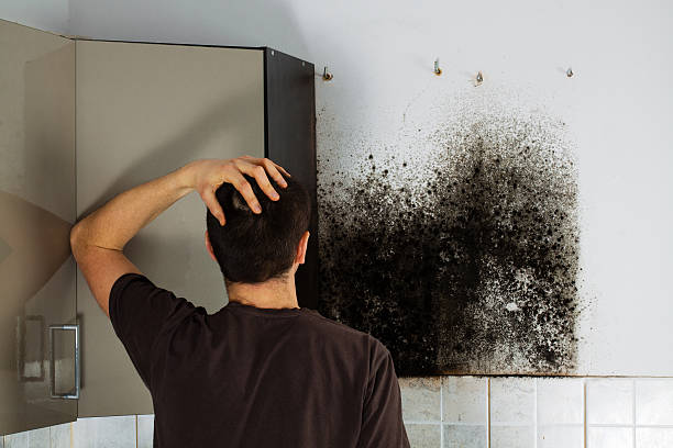 Best Mold Removal for HVAC Installations  in Fort Washington, MD